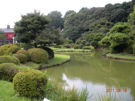 小石川植物園に行ってきました。